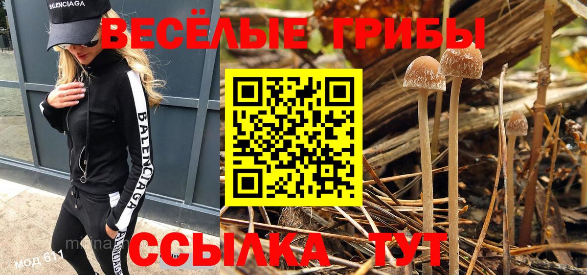 Карпинск  даркнет сайт  Вход с VPN  Псилоцибиновые грибы Magic Shrooms  Псилоцибиновые грибы мухоморы 